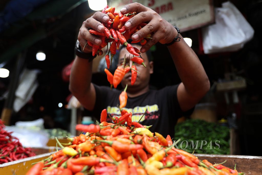 Pedagang memilah cabai rawit merah di Pasar Senen, Jakarta Pusat, Selasa (26/12/2023).