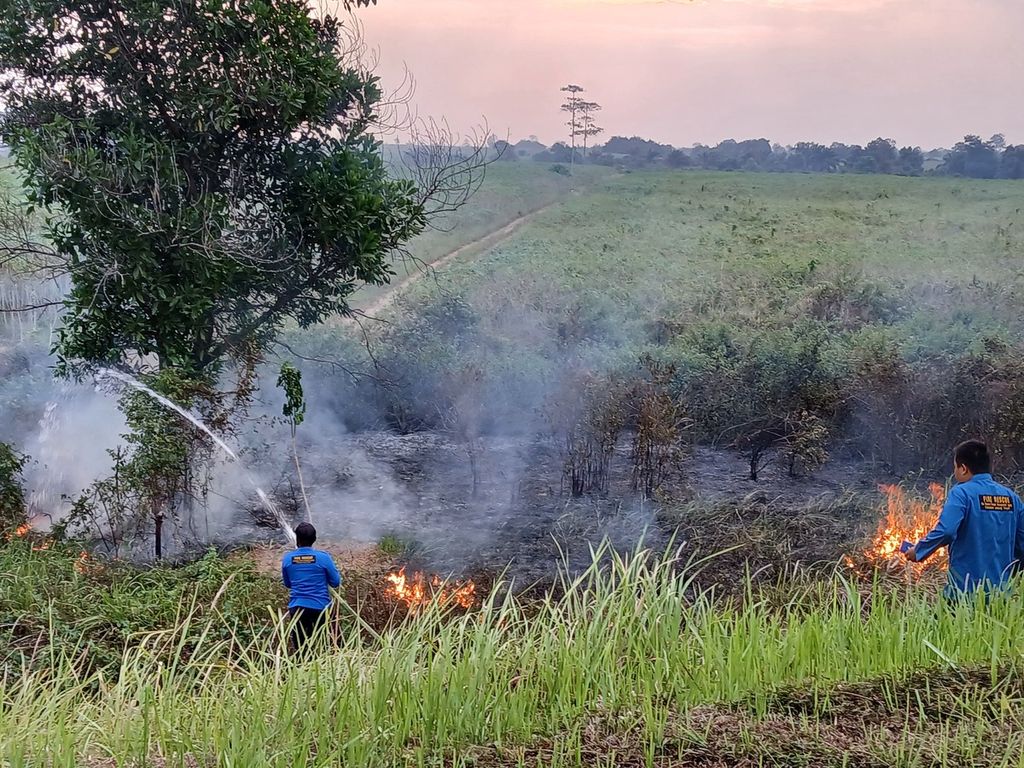 Petugas memadamkan api di sekitar Jalan Tol Terbanggi Besar-Pematang Panggang-Kayu Agung di wilayah Lampung, beberapa waktu lalu. Sepanjang Januari-September 2024, ada 30 kejadian kebakaran lahan di sekitar area Tol Terpeka yang meliputi wilayah Lampung dan Sumatera Selatan. 