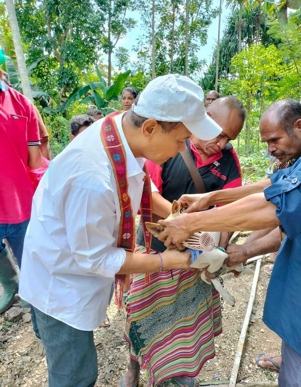 Petugas kesehatan hewan di Timor Tengah Selatan sedang memberikan vaksin kepada anjing yang diduga terpapar virus rabies di Kecamatan Amanatun Selatan, TTS, Rabu (30/5/2023).