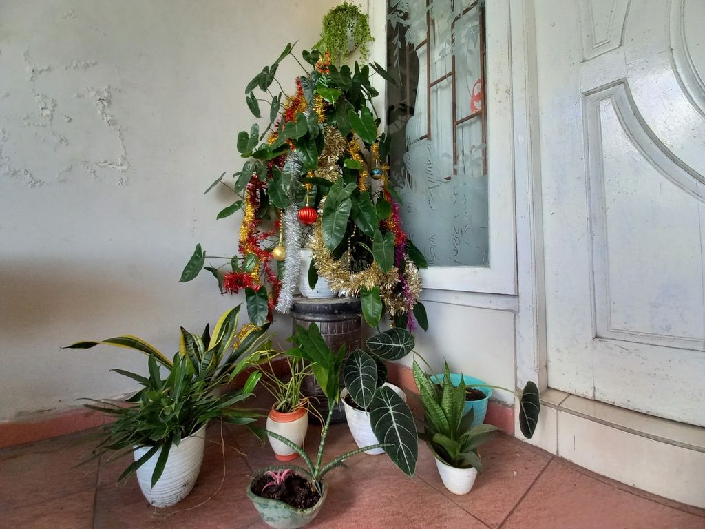 Septina Fransisca memanfaatkan pohon natal dari tanaman hias kelompok<i> philodendron</i> di Blitar, Jawa Timur, Selasa (20/12/2022). Kreasi ini wujud nyata kepedulian dirinya terhadap lingkungan.