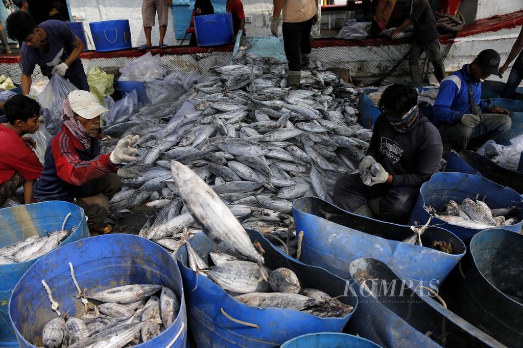 Buruh memilah-milah ikan berdasar ukuran saat membongkar hasil tangkapan di Pelabuhan Perikanan Samudera Nizam Zachman Muara Baru, Jakarta, Minggu (2/7/2023). 