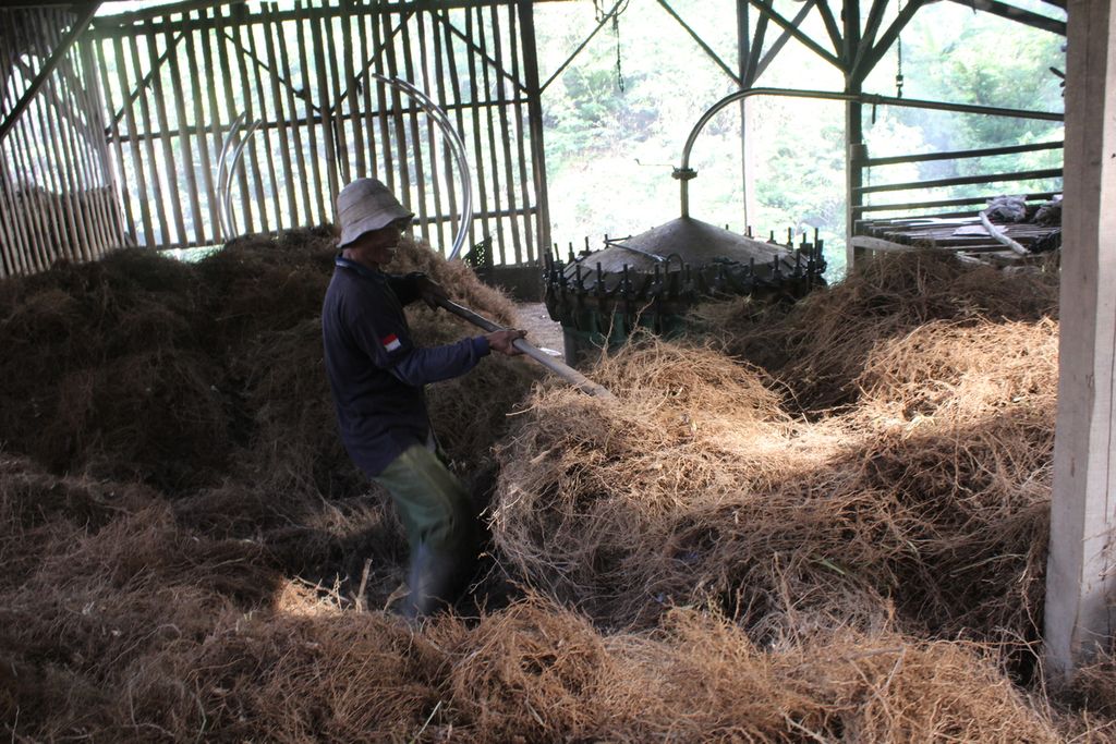 Salah satu pekerja merapikan akar wangi sambil menunggu ketel atau alat penyuling beroperasi di Desa Sukahati, Kecamatan Cilawu, Kabupaten Garut, Jawa Barat, Jumat (12/1/2024).
