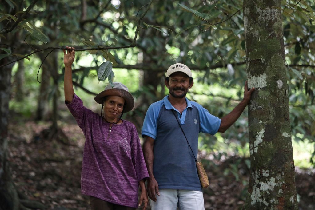 Pasangan suami-istri Alfons Kabes (51) dan Aminah Ahek (46), petani pala di Desa Pang Wadar, Kecamatan Kokas, Fakfak, Papua Barat, Jumat (18/6/2021). Pasangan ini secara turun-temurun merawat, menjaga, dan memproduksi 60 tanaman pala untuk memenuhi kebutuhan sehari-hari. 