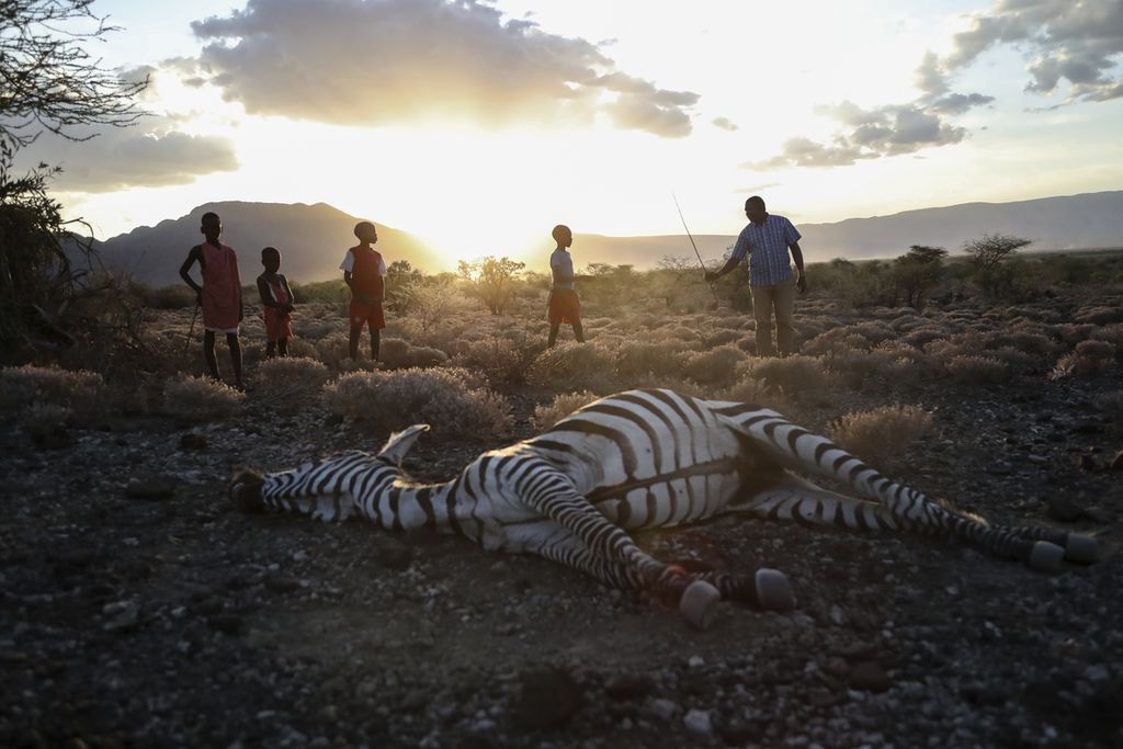 Anak-anak Maasai berdiri di samping seekor zebra yang mati akibat kekeringan, saat menggembalakan ternaknya di desa Ilangeruani, dekat Danau Magadi, Kenya, pada Rabu, 9 November 2022. 