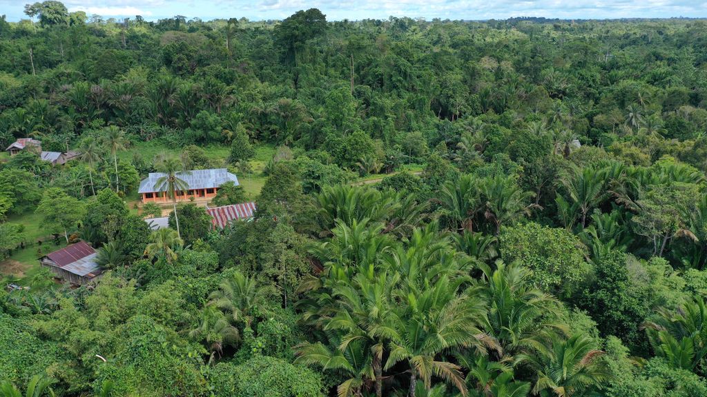 Pohon sagu tumbuh subur di kawasan hutan desa di Kampung Sira, Sorong Selatan, Papua Barat, Rabu (9/6/2021). 