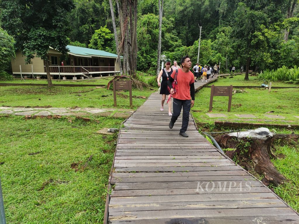 Beberapa pengunjung berjalan-jalan di Taman Nasional Bako, Sarawak, Malaysia, Selasa (2/7/2024).