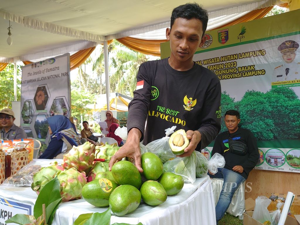 Seorang petani menunjukkan avokad hasil panen dari dalam kawasan hutan KPH Gunung Balak, Kabupaten Lampung Timur, Lampung, saat acara festival wisata hutan di Bandar Lampung, Senin (3/7/2023).
