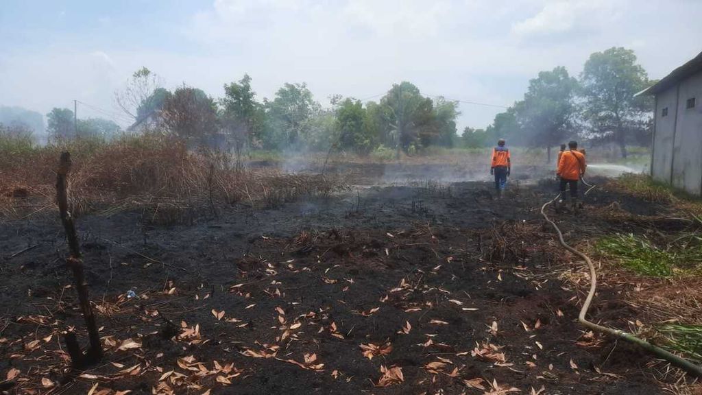 Petugas Badan Penanggulangan Bencana Daerah Provinsi Kalimantan Barat berupaya memadamkan kebakaran lahan di Kabupaten Kubu Raya, Kalbar, pada Selasa (16/9/2024).