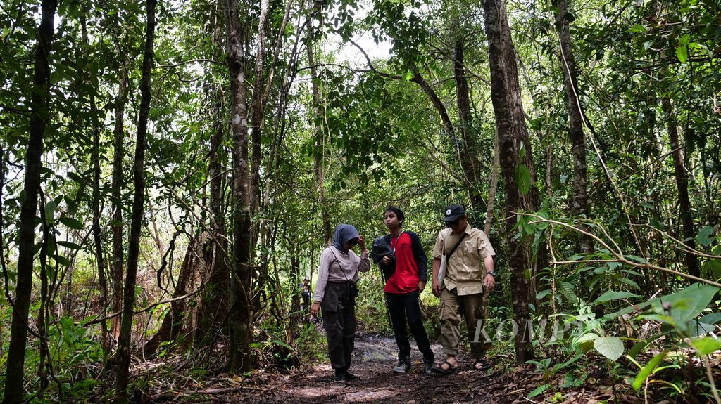 Mahasiswa Antakusuma Pangkalan Bun, Kabupaten Kotawaringin Barat, Kalimantan Tengah, Sabtu (24/2/2024), mengunjungi Jerumbun, kawasan konservasi yang jadi penyangga Taman Nasional Tanjung Puting.