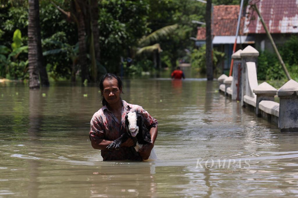 Warga menyelamatkan kambing peliharaannya saat tempat tinggalnya terkena banjir di Desa Kedungmulyo, Butuh, Purworejo, Jawa Tengah, Rabu (16/3/2022). Sedikitnya 140 warga mengungsi di tempat itu karena kediaman mereka terkena banjir. Hujan yang mengguyur terus- menerus sejak dua hari sebelumnya memicu banjir di 19 desa di 11 kecamatan di Kabupaten Purworejo. Selain harus mengungsi, banjir juga mengakibatkan petani kehilangan padi mereka yang sudah memasuki masa panen. 