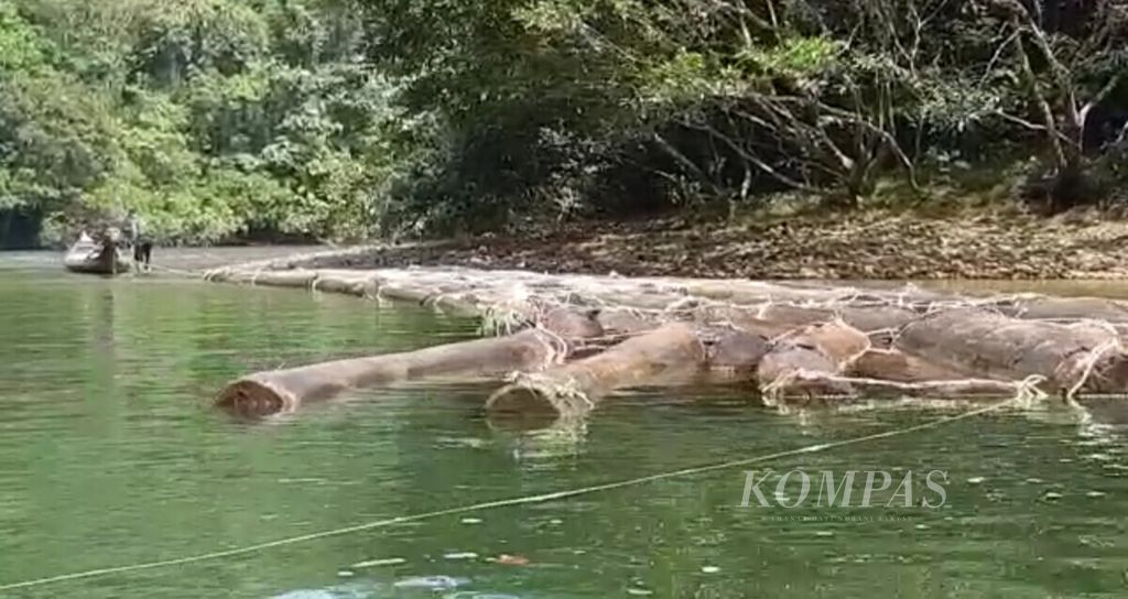 Illegal timber from the Bukit Rimbang Baling Wildlife Reserve forest, Kampar, Riau was washed away in the Subayang River, at the end of June 2019.