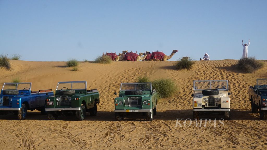 A row of jeep cars with a backdrop of camels in the Dubai Desert, Dubai, United Arab Emirates, on Friday morning (22/3/2024). These jeeps are used for adventure in the Dubai Desert.