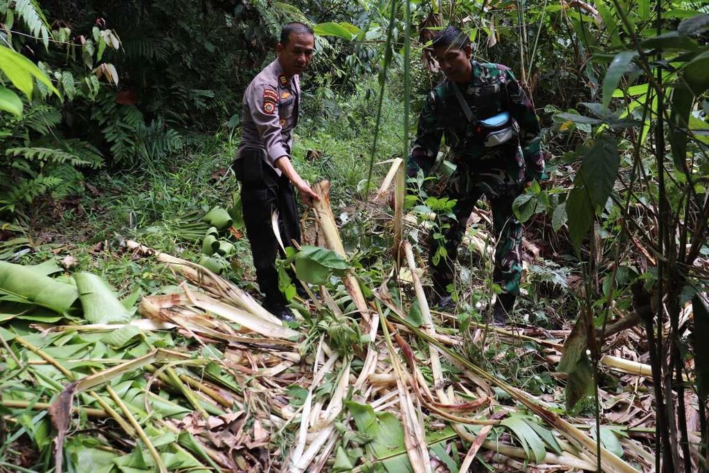 Polisi dan tentara anggota tim gabungan sejumlah instansi dan warga yang dikoordinasikan BKSDA Sumatera Barat menunjukkan jejak tumbuhan yang dimakan gajah sumatera di Sijunjung, Sumatera Barat, Rabu (15/2/2023). Tim berupaya menelusuri dan memetakan pergerakan dua gajah yang muncul di Sijunjung yang sudah puluhan tahun tidak muncul di Sumbar.