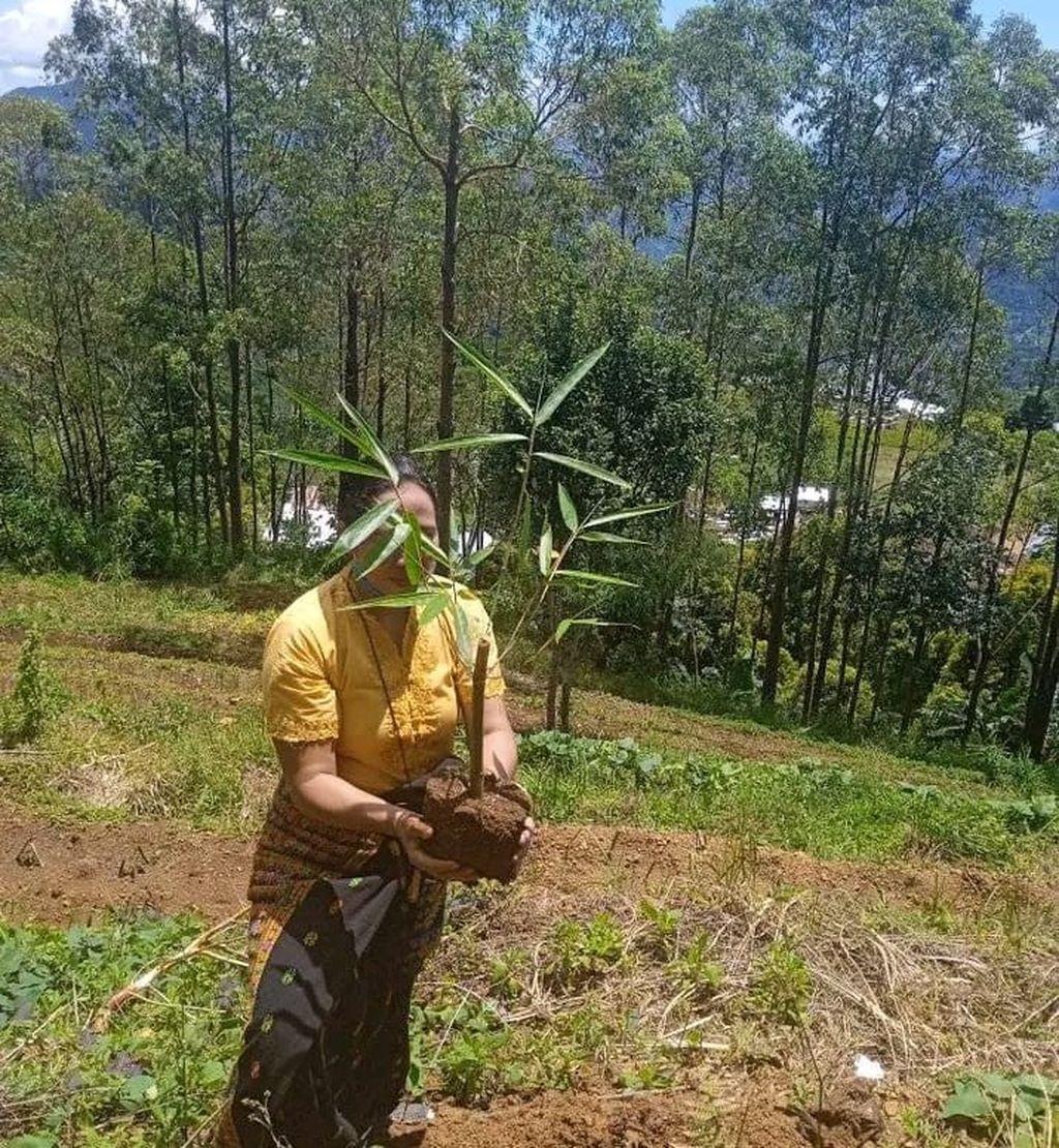 Anggota kelompok Bambu 1 Desa Goloworok, Kabupaten Manggarai,  mengangkat bibit bambu untuk ditanami di lahan yang telah disiapkan.