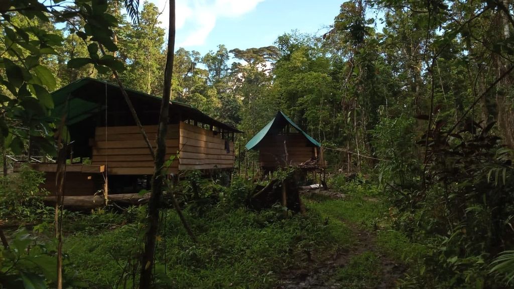 Salah satu kamp pekerja di lokasi pembalakan hutan secara ilegal di Distrik Nimbokrang, Kabupaten Jayapura, pada 2 Mei 2022.