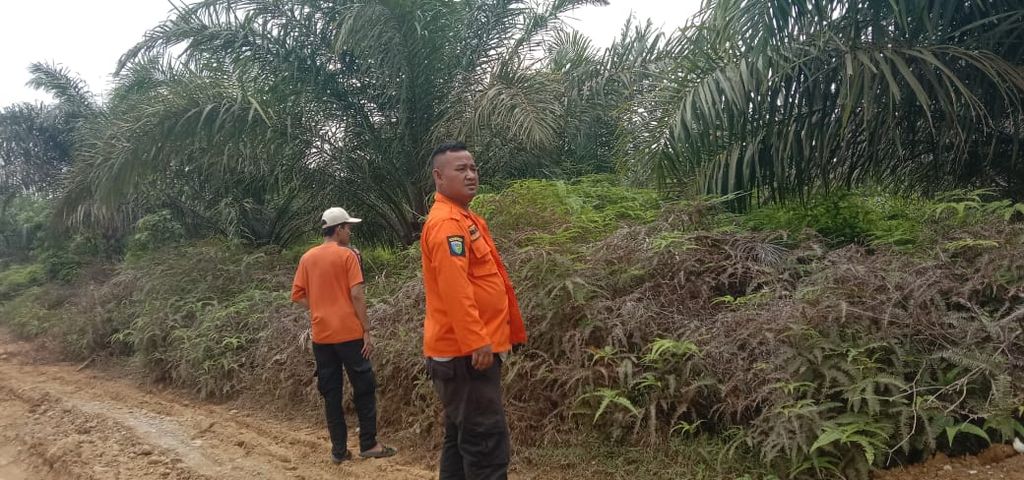 Petugas BPBD Pesisir Selatan memantau kebakaran lahan gambut di sekitar areal perkebunan sawit di Pesisir Selatan, Sumatera Barat, Selasa (5/9/2023). 