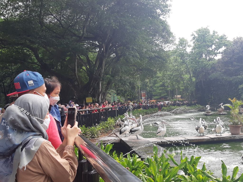 Pengunjung melihat penangkaran burung pelikan di Taman Margasatwa Ragunan, Senin (25/12/2022). Tempat wisata itu tetap buka saat libur Natal 2023 dan Tahun Baru 2024.