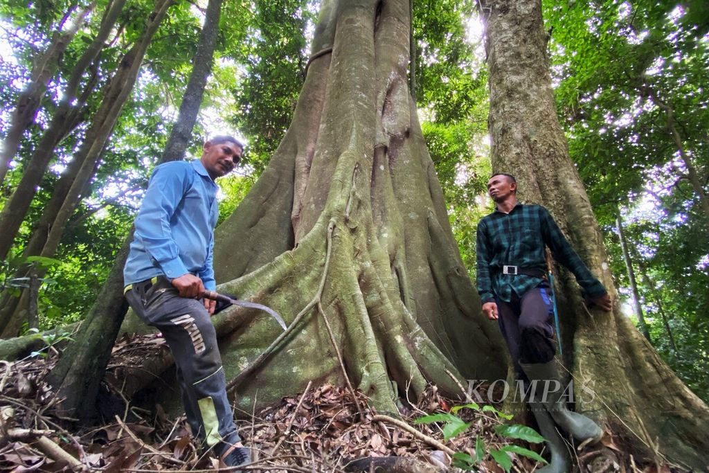 Masyarakat adat melakukan patroli di hutan adat milik Mukim Blang Birah, Kecamatan Peudada, Kabupaten Bireuen, Provinsi Aceh