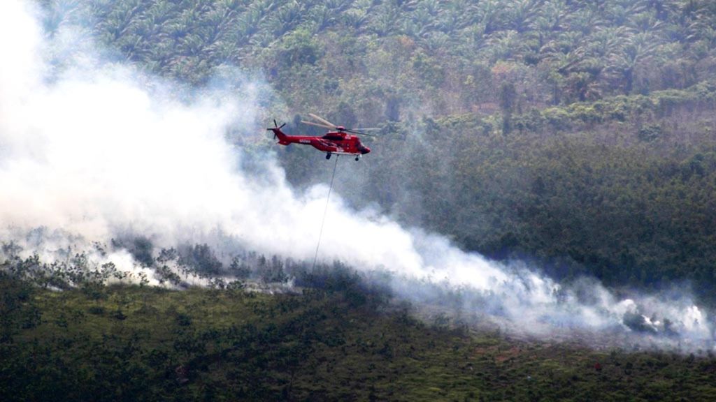 Sebuah helikopter jenis Super Puma milik APP Sinar Mas melakukan upaya bom air di lahan terbakar yang terletak di Desa Kayu Labu, Kecamatan Pedamaran Timur, Kabupaten Ogan Komering Ilir, Sumatera Selatan, 18 Juli 2018. Luas lahan yang terbakar di Sumatera Selatan terus meningkat seiring memasuki musim kemarau. 