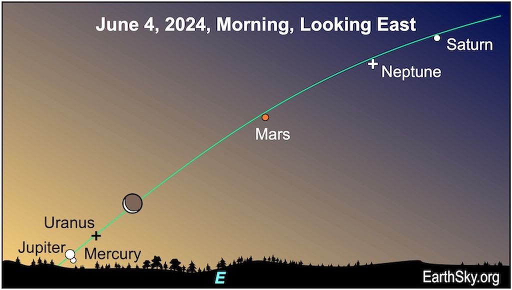 Gambaran kesegarisan enam planet yang terlihat di langit timur pada Selasa (4/6/2024) pagi sesaat sebelum Matahari terbit. Dari enam planet yang segaris, yang mudah diamati hanya Saturnus dan Mars, sedangkan Jupiter kemungkinan kecil bisa diamati karena posisinya sangat rendah. Ketiga planet lain tidak bisa diamati.