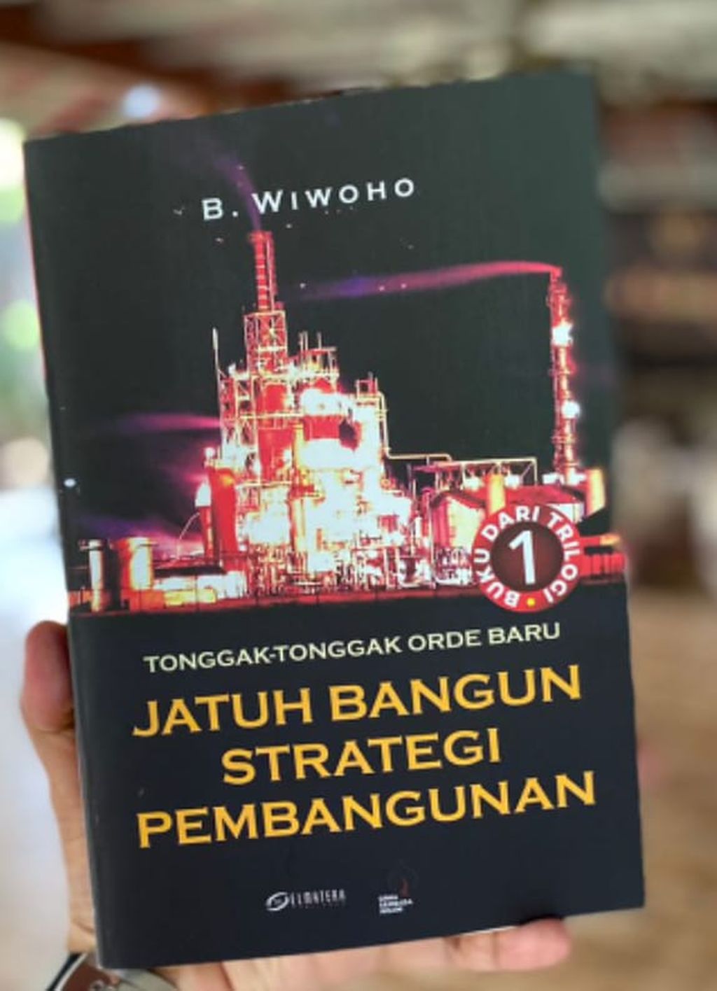 Sampul buku <i>Jatuh Bangun Strategi Pembangunan</i>