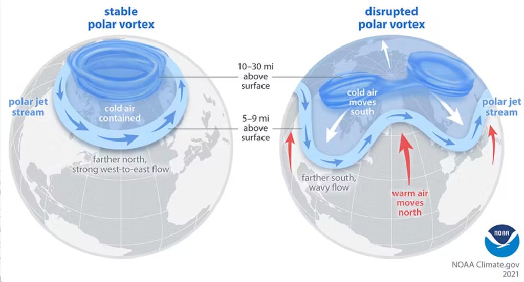 Pusaran Kutub Arktik adalah kumpulan angin kencang di stratosfer, 10-30 mil di atas permukaan. Ketika melemah, kelompok angin yang biasanya mengelilingi Kutub Utara ini bisa terpecah. Aliran jet kutub dapat mencerminkan pergolakan ini, menjadi lebih lemah atau bergelombang. Di permukaan, udara dingin terdorong ke arah selatan di beberapa lokasi. 