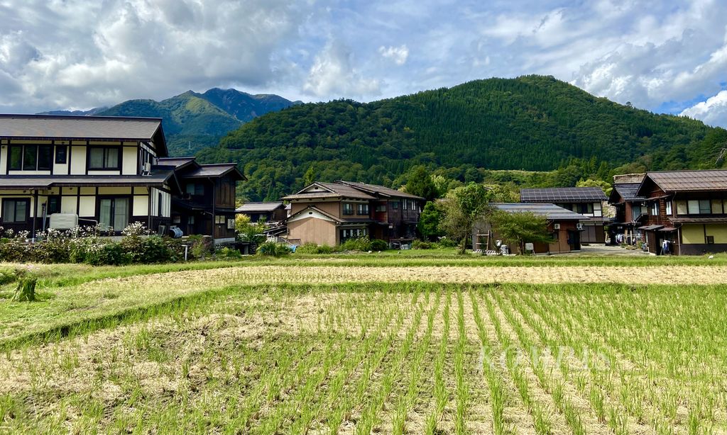 Sisa sawah di Desa Shirakawa, Prefektur Gifu, Jepang, pada 4 Oktober 2023. Luas sawah dan produksi beras di Jepang terus menyusut dalam beberapa dekade terakhir. Sebab, nasi bukan lagi menjadi pangan utama Jepang. Warga Jepang memilih pangan berbahan tepung atau bahan lain.