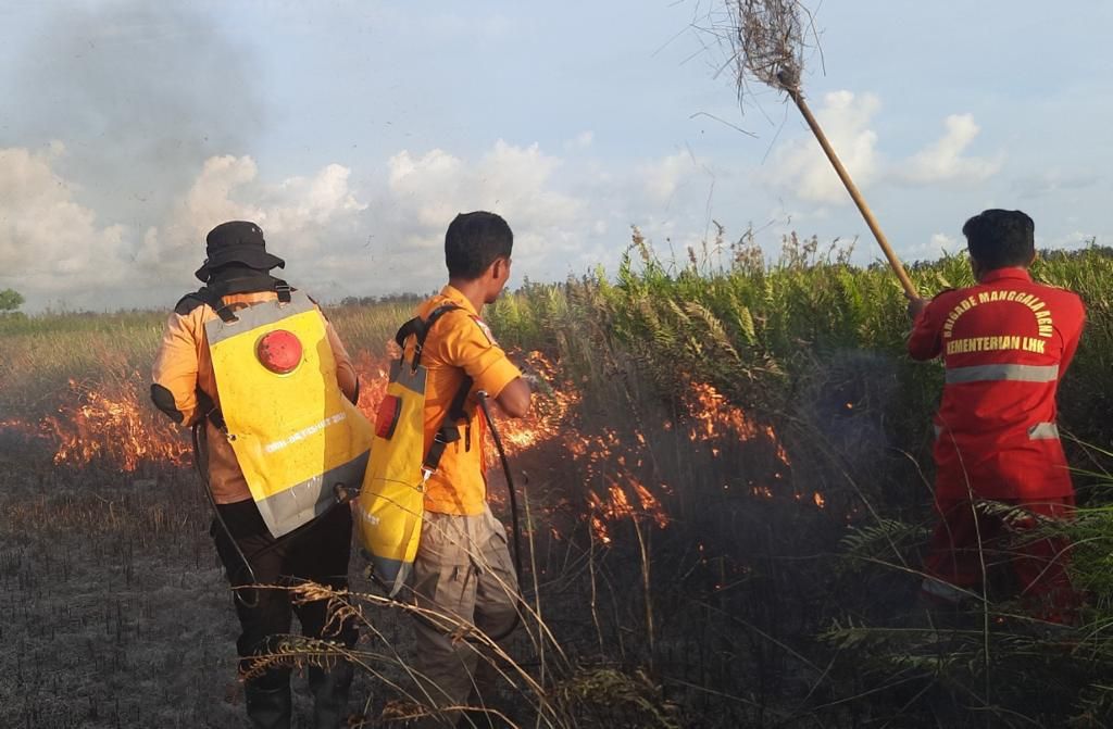 Petugas BPBD Kabupaten Sukamara bersama Manggala Agni dan instansi lainnya berupaya memadamkan api di Desa Sungai Cabang Barat, Kabupaten Sukamara, Minggu (8/5/2022). 