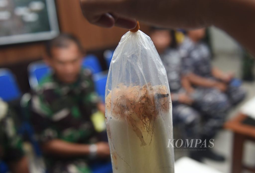 Members of the Indonesian Navy look at evidence of <i>baby lobsters</i> during the release of attempts to smuggle <i>baby lobsters</i> which will be sent to Singapore via Juanda International Airport Surabaya, in Sidoarjo, East Java, Tuesday (18/10 /2022). A total of 29 bags of lobster seeds were confiscated from the suspect RS, Monday (17/10/2022). After inspection, it was discovered that the number of clear lobster seeds (BBL) was 26,432 with a state loss of IDR 1.3 billion.