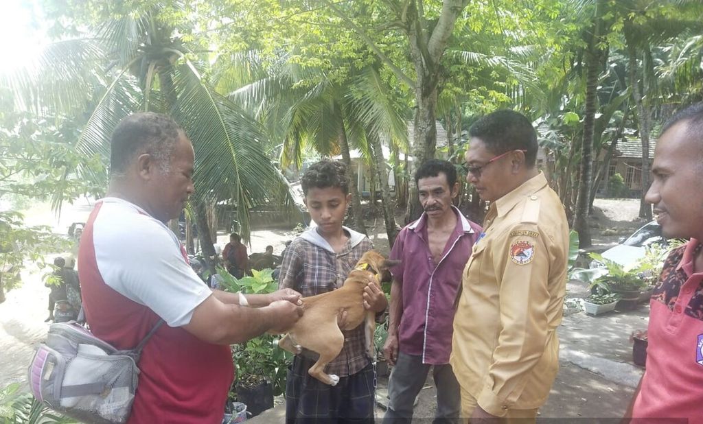 Kepala Dinas Pertanian dan Peternakan Sikka Jemy Sadipun (kacamata) memimpin langsung kegiatan vaksinasi hewan pembawa rabies di Desa Sika Kecamatan Lela, Sikka, Senin (22/5/2023).