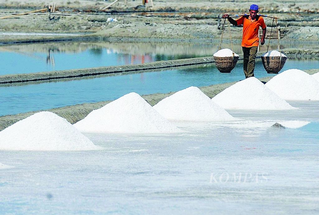 Petani memanen garam di Desa Lembung, Kecamatan Galis, Pamekasan, Jawa Timur, Jumat (16/9/2011). kebutuhan garam nasional tahun 2011 untuk garam konsumsi sebesar 1,6 juta ton sebagian besar ditutupi dari Pulau Madura.