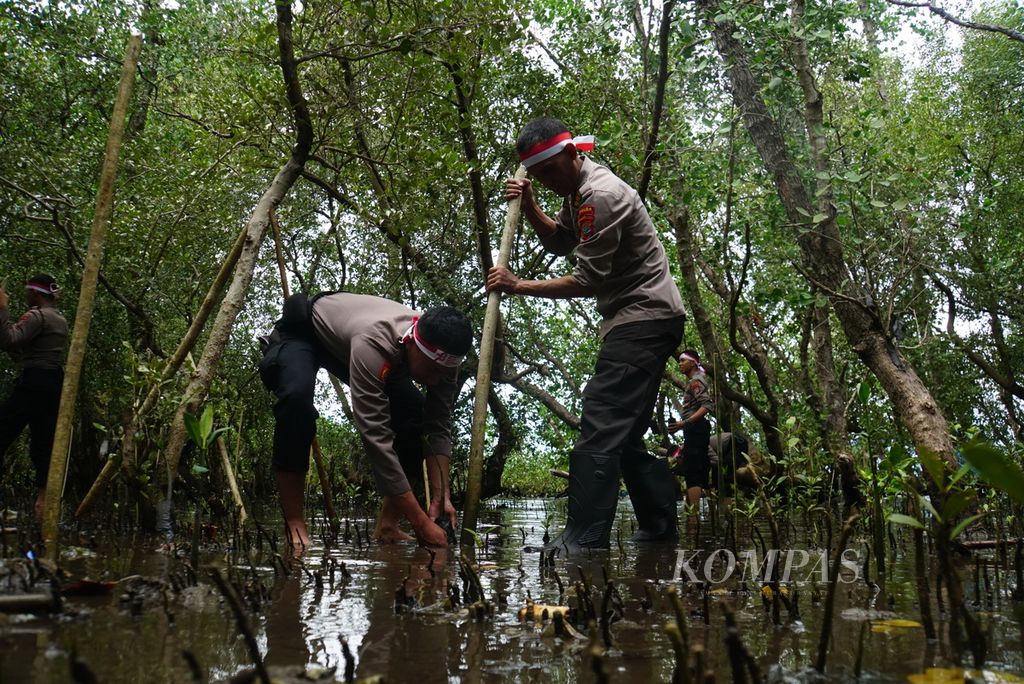 Personel Polda Sulawesi Utara menanam 1.000 bibit pohon bakau atau mangrove di pantai yang terletak di bilangan Molas, Bunaken, Manado, Rabu (16/8/2023). Kegiatan itu adalah bagian dari penanaman 21 juta pohon secara serentak di seluruh Indonesia yang dimotori Polri, termasuk 16.850 pohon di Sulut.