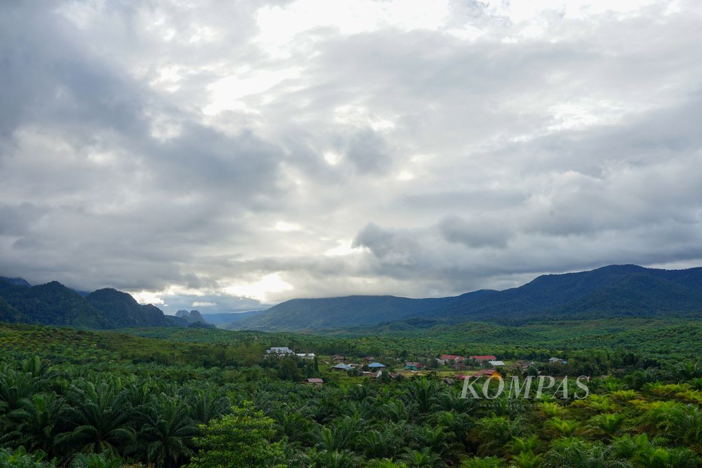 Rimbun pohon sawit mengelilingi Desa Lalomerui, Routa, Konawe, Sulawesi Tenggara, terlihat dari ketinggian pada Jumat (22/7/2022). Desa ini merupakan wilayah pertama yang ditemui saat menuju Kecamatan Routa, dari wilayah Konawe Utara. 