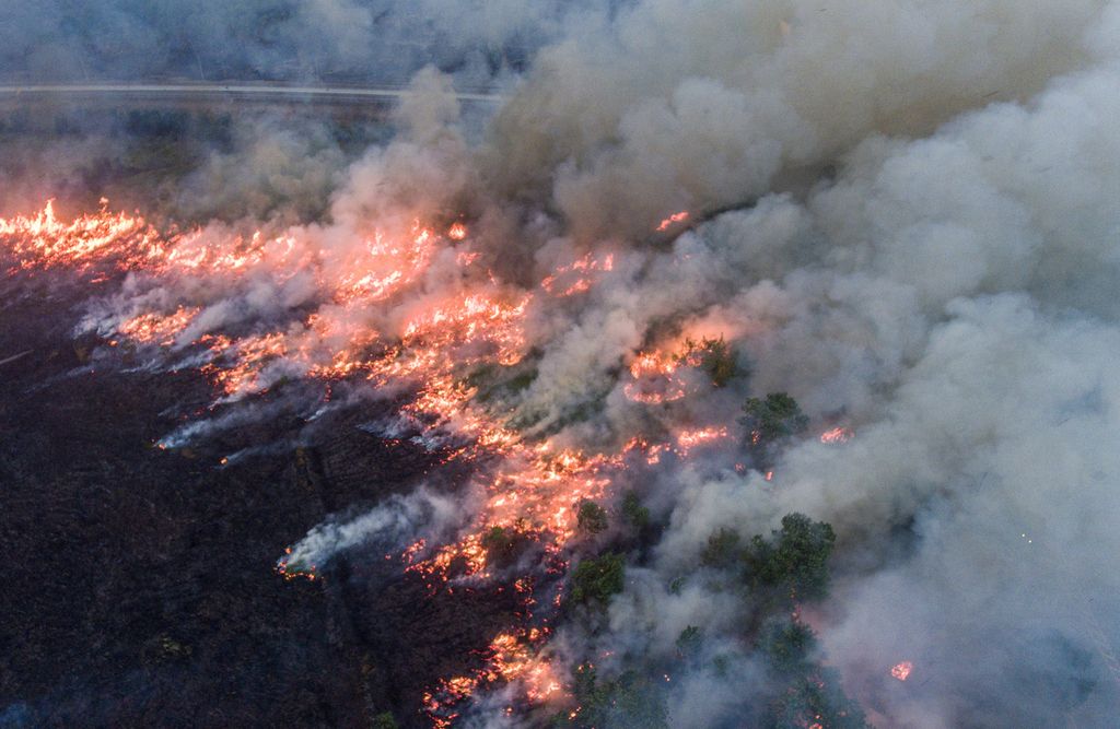 Foto udara api membakar lahan di sisi Gerbang Tol Rambutan Jalan Tol Trans-Sumatera (JTTS) ruas Palembang-Indralaya di Desa Sungai Rambutan, Indralaya Utara, Ogan Ilir (OI), Sumatera Selatan, Kamis (14/9/2023). 