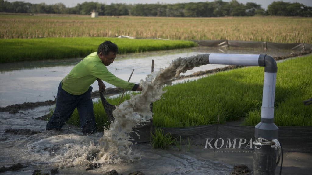The landowner checks the flow of water from the water pump installation that is connected to the electricity network in Tangkil Village, Sragen District, Sragen Regency, Central Java, on Wednesday (17/7/2019). Installing a water pump connected to the electricity network helps farmers optimize the function of their land throughout the year.