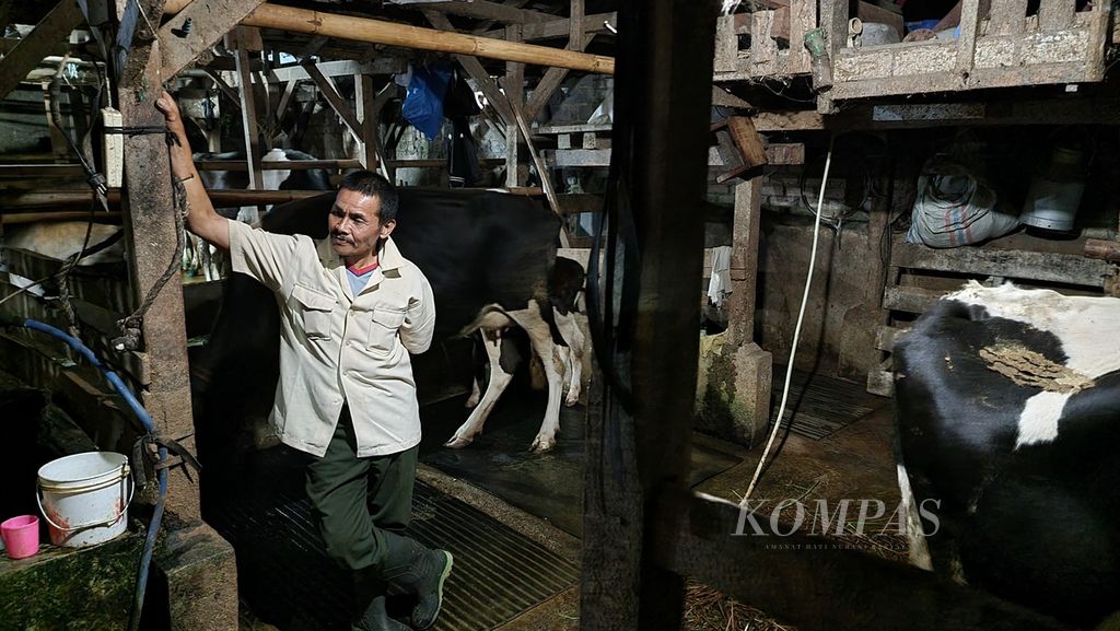 Salah seorang petani berdiri di depan kandang sapi perah miliknya di Desa Sukajaya, Kecamatan Lembang, Kabupaten Bandung Barat, Jawa Barat, Jumat (10/6/2022). Keempat sapi miliknya terkena penyakit mulut dan kuku, dan salah satunya terpaksa dipotong karena sulit untuk produktif kembali.
