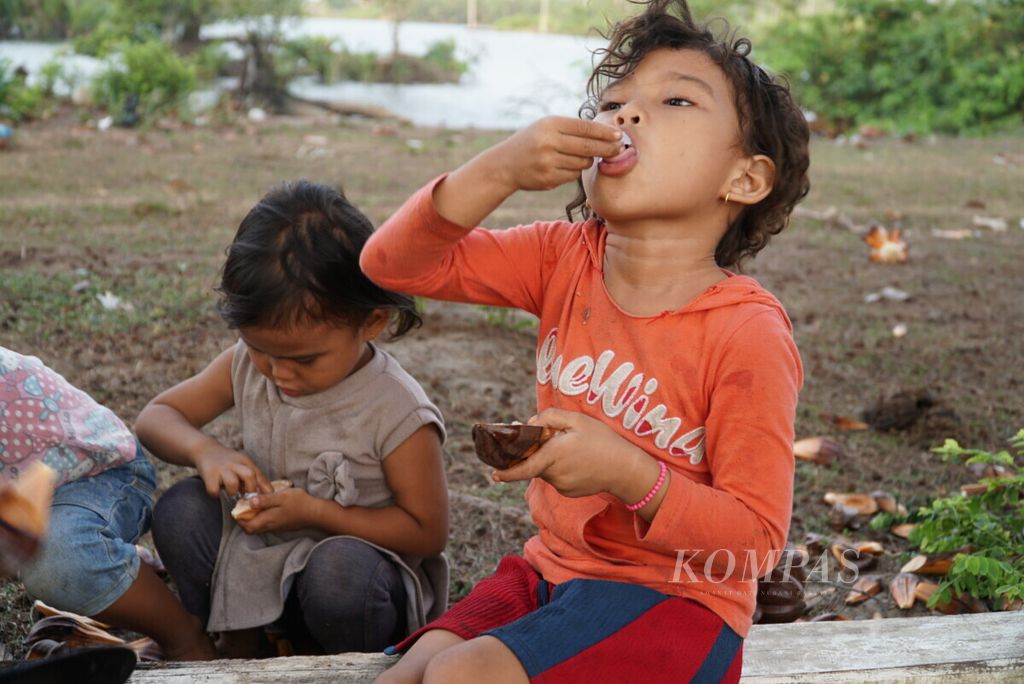 Beberapa anak tengah memakan buah nipah di Pantai Pasir Jambak, Koto Tangah, Padang, Sumatera Barat, Sabtu (14/9/2019). Anak-anak pantai itu terbiasa makan buah nipah yang banyak tumbuh di sekitar muara.