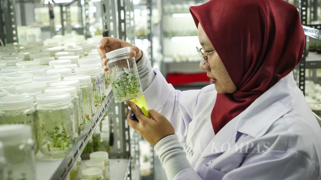 Aktivitas peneliti di Laboratorium Genomik Badan Riset dan Inovasi Nasional (BRIN) di Kawasan Sains dan Teknologi (KST) Soekarno, Cibinong, Bogor, Jawa Barat, Rabu (5/7/2023). 