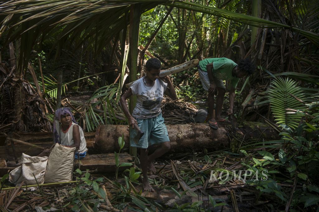 Warga membawa kayu untuk memanen sagu di hutan desa di Kampung Sira, Sorong Selatan, Papua Barat, Rabu (9/6/2021). 