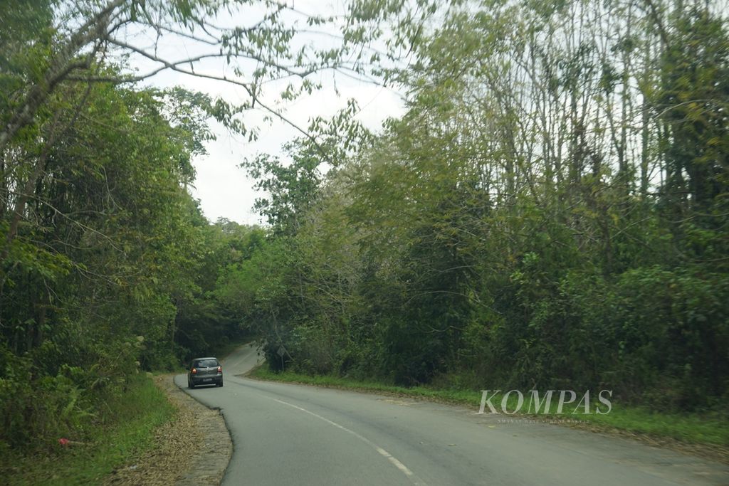 Mobil melintasi Jalan Raya Samboja-Sepaku di perbatasan Kutai Kartanegara dan Penajam Paser Utara, Kalimantan Timur, Rabu (28/8/2019). Hutan di sekitar jalan ini sebagian hutan lindung, sebagian lainnya merupakan hutan produksi.