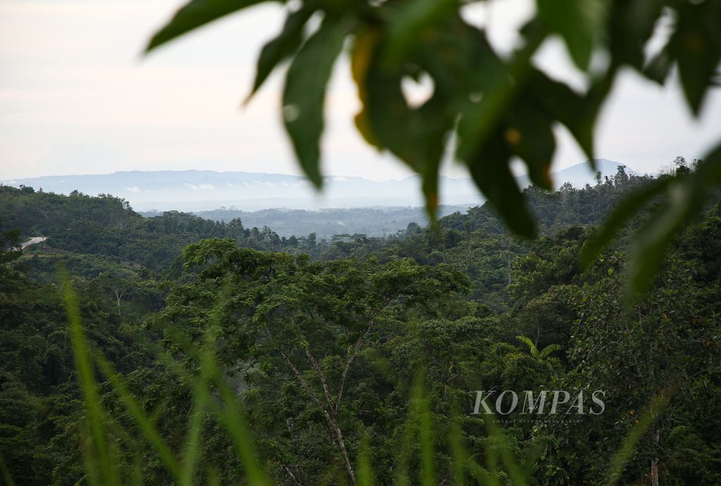 Panorama Taman Hutan Raya Bukit Soeharto di Sepaku, Kabupaten Penajem Paser Utara, Kalimantan Timur, Kamis (1/3/2021). 