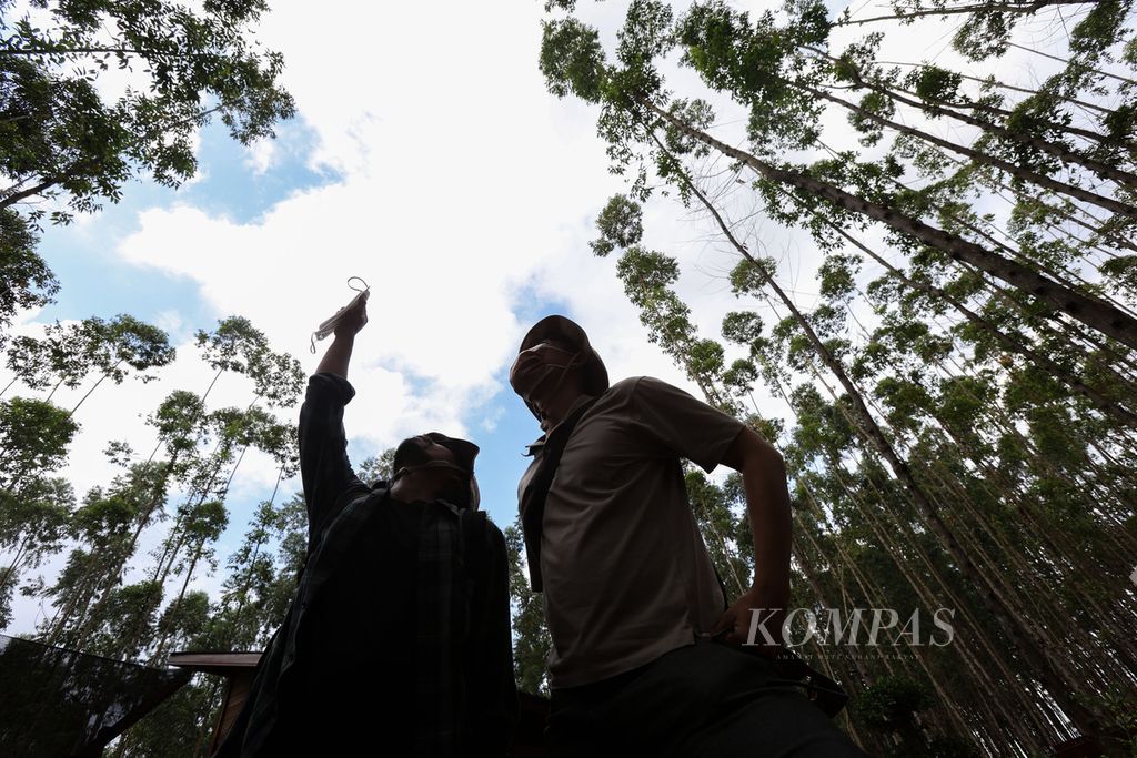 Dua warga melihat pepohonan di kawasan Miniatur Hutan Hujan Tropis di kawasan Ibu Kota Nusantara (IKN), Kabupaten Penajam Paser Utara, Provinsi Kalimantan Timur, Sabtu (30/12/2023).