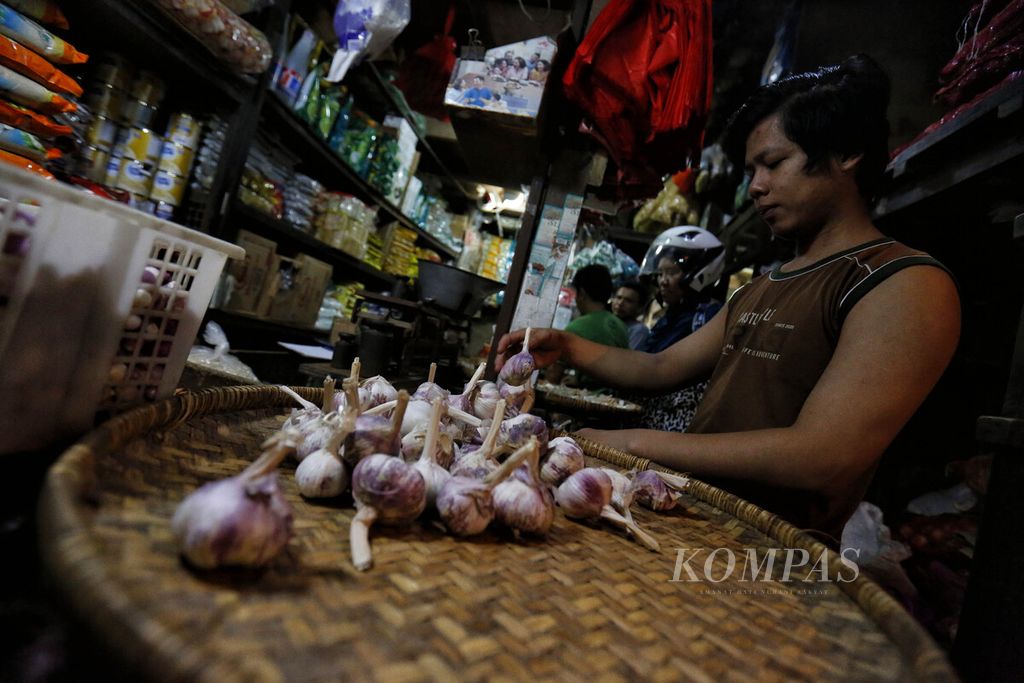 Pedagang menyeleksi bawang putih impor sembari menunggu pembeli di Pasar Senen, Jakarta, Rabu (8/3/2023). Saat ini harga bawang putih di tempat tersebut mencapai Rp 40.000 per kilogram. 