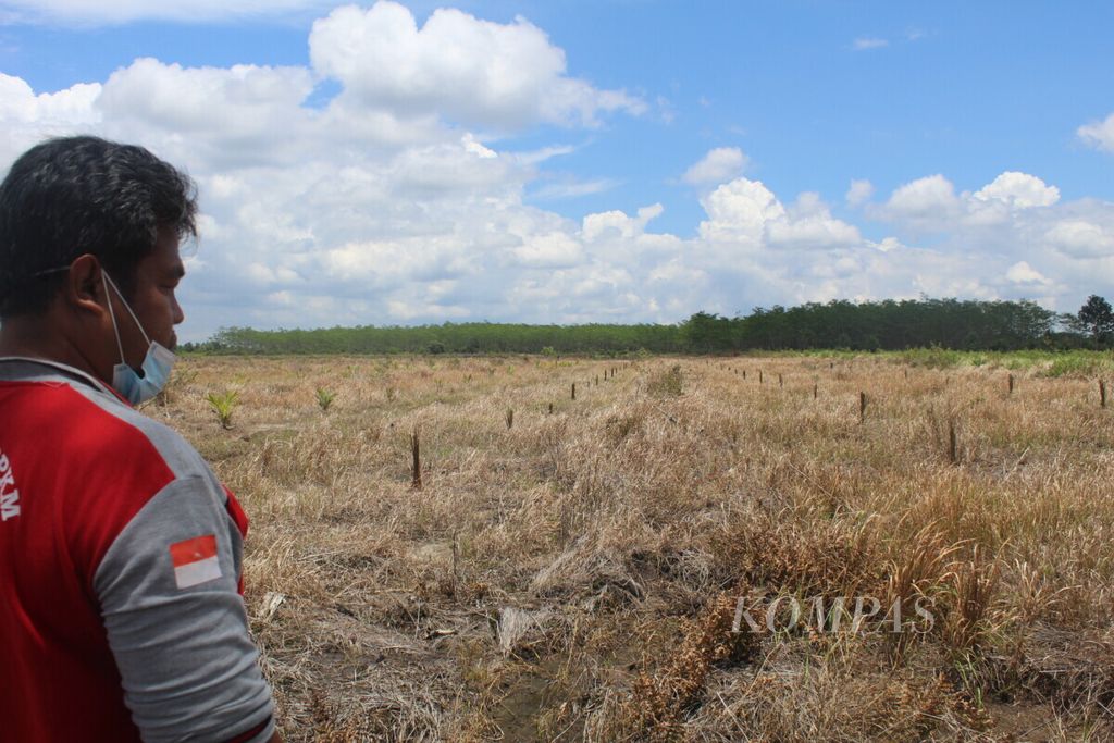 Stevanus Parwudi, warga Kantan Atas, Kabupaten Pulang Pisau, Kalimantan Tengah, menunjukkan lahan bekas sawah yang kini jadi kebun sawit, Minggu (19/9/2021).