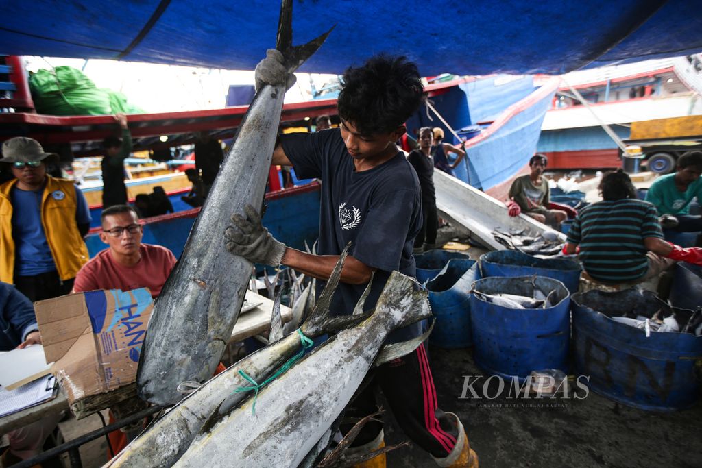 Aktivitas bongkar muat ikan hasil tangkapan nelayan di Pelabuhan Perikanan Samudera Nizam Zachman, Muara Baru, Jakarta Utara, Rabu. (22/5/2024). Potensi sumber daya ikan Indonesia mencapai lebih dari 12 juta ton per tahun. Adapun volume tangkapan ikan per tahun sekitar 6 juta ton.