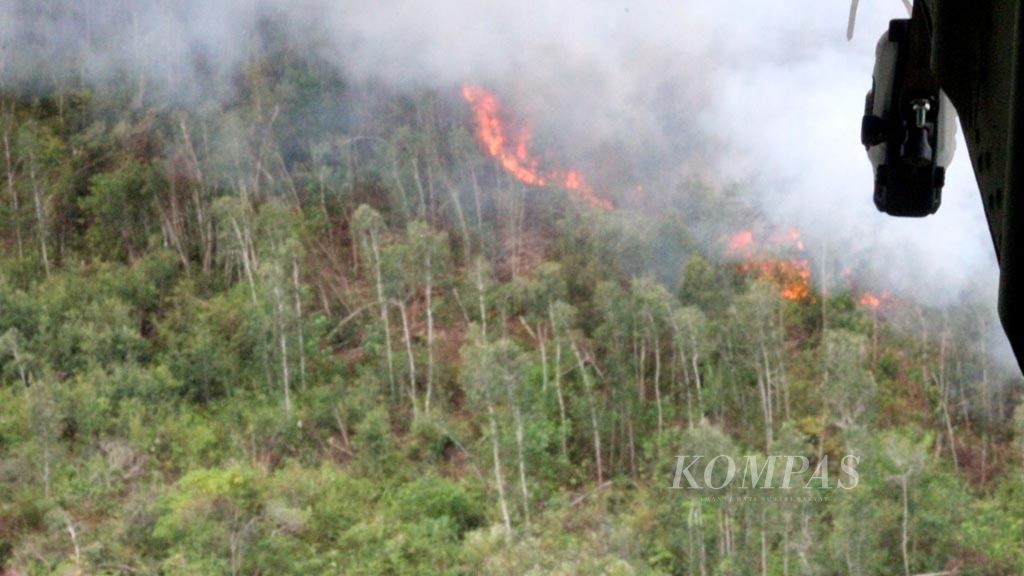Api melahap semak belukar dan pepohonan di wilayah Kecamatan Jabiren Raya, Kabupaten Pulang Pisau, Kalimantan Tengah, Senin (12/9) siang. Hutan seluas sekitar 10 hektar yang jauh dari permukiman itu diduga sengaja dibakar. 