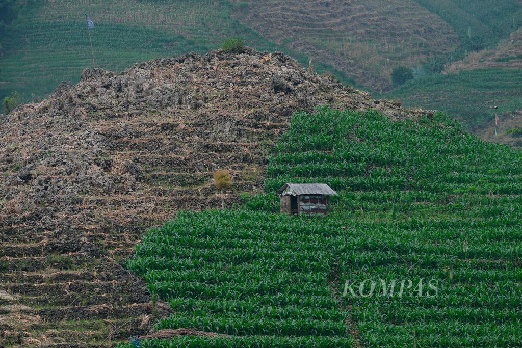 Lahan pertanian jagung mendominasi area Pegunungan Kendeng di Kecamatan Sukolilo, Kabupaten Pati, Jawa Tengah, Kamis (16/3/2023). 