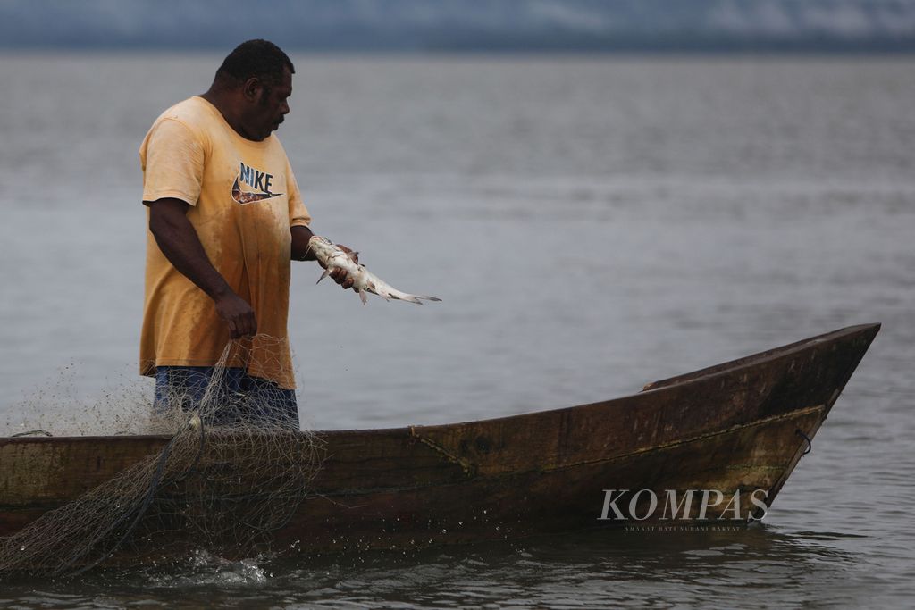 Sawajir Wegiri menjaring ikan ganadi di perairan Teluk Arguni, di dekat Kampung Feternu, Kabupaten Kaimana, Papua Barat, Rabu (16/2/2021). Gelembung ikan ganadi memiliki nilai ekonomi yang sangat tinggi dan menjadi mata pencarian utama warga di Teluk Arguni. 