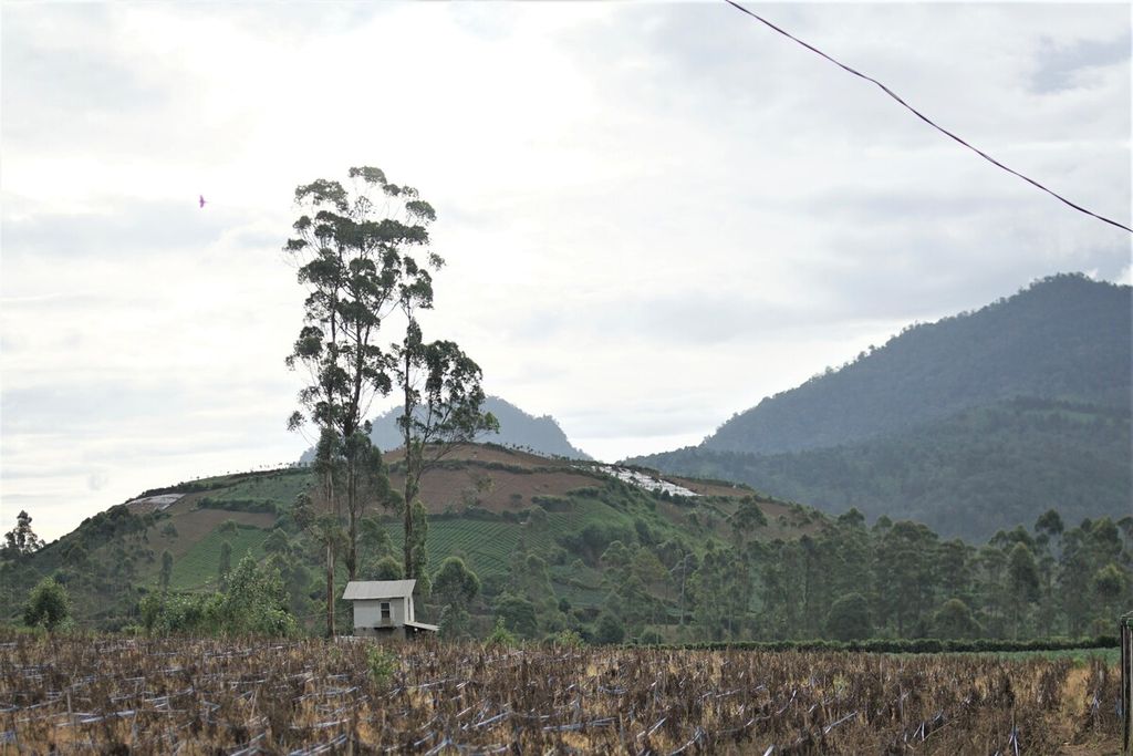 Terlihat sebuah bukit yang telah dibuka menjadi lahan pertanian di Kabupaten Bandung, Jawa Barat, pada Minggu (5/2/2023). Lahan dengan lereng lebih dari 40 persen seharusnya diatur menjadi ruang perlindungan.