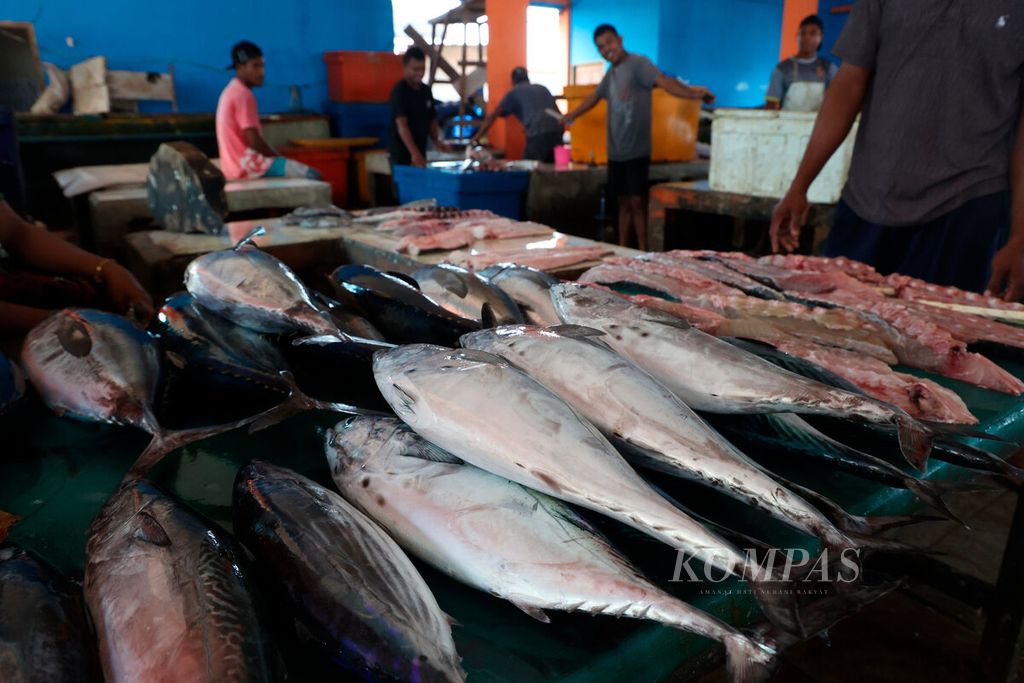 Aktivitas pedagang yang menjual hasil tangkapan di Kampung Nelayan Siwalima, Kecamatan Pulau-pulau Aru, Kabupaten Kepulauan Aru, Provinsi Maluku, Kamis (21/9/2023). 